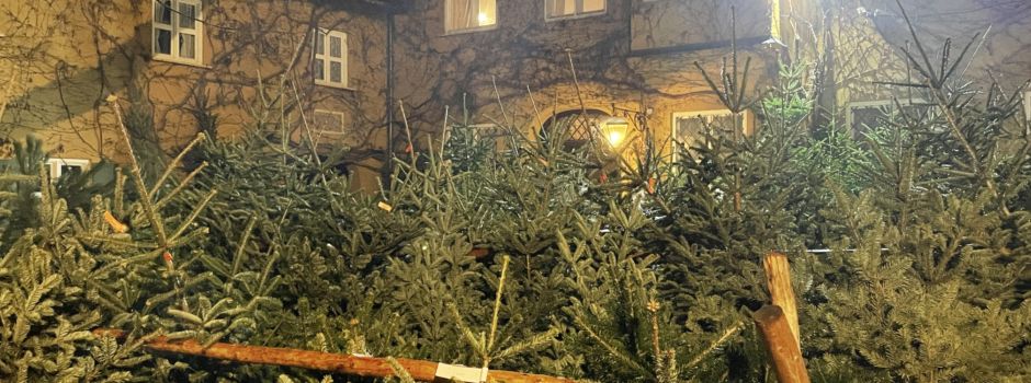 Frisch und regional: Weihnachtsbaum kaufen in Augsburg 2023