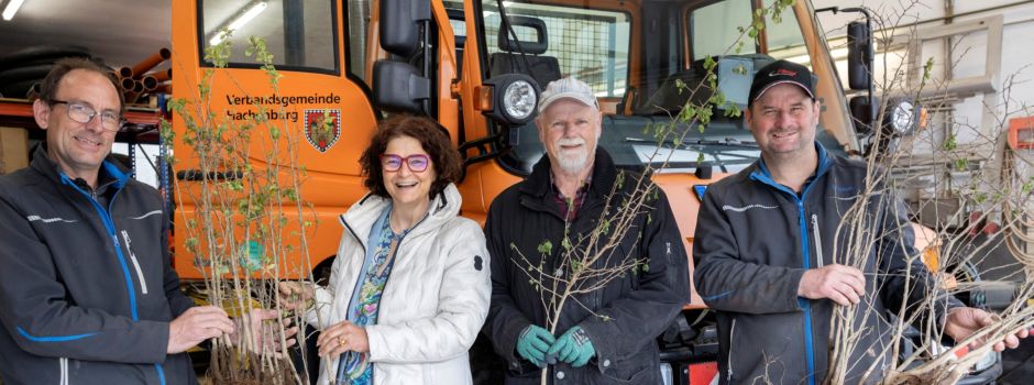 🌳Gemeinsam Zukunft pflanzen – Baumausgabe in der VG Hachenburg war ein voller Erfolg!