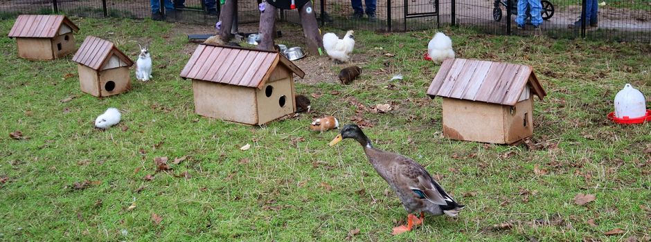 Niederkassel: Eine Woche Streichelzoo im Familienzentrum Pappelweg