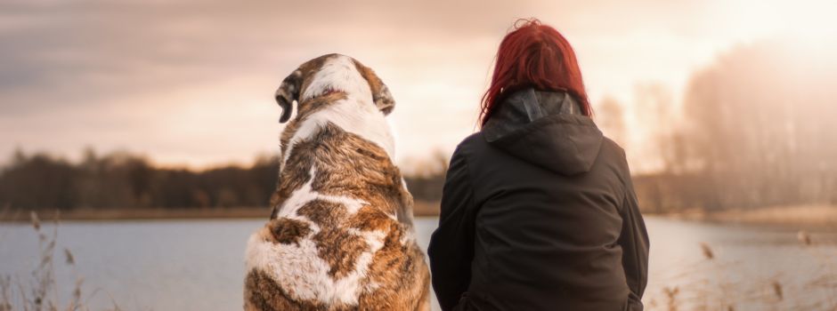 5 Dinge, die man nur kennt, wenn man Hundebesitzer ist