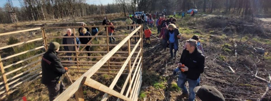 Private Spender pflanzen Bäume im Binger Wald