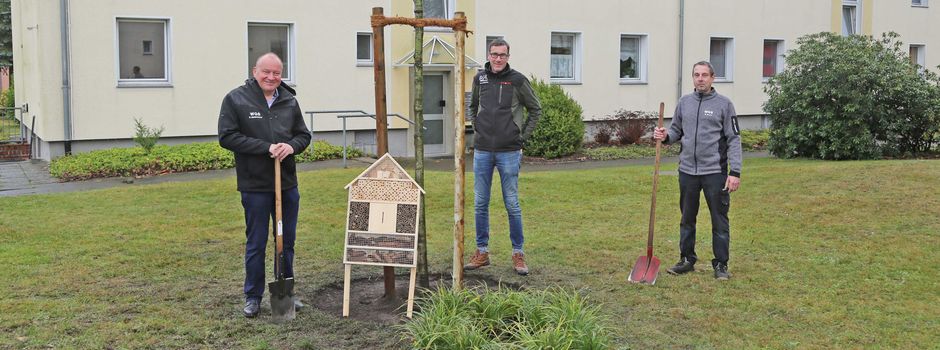WGS pflanzt neue Bäume