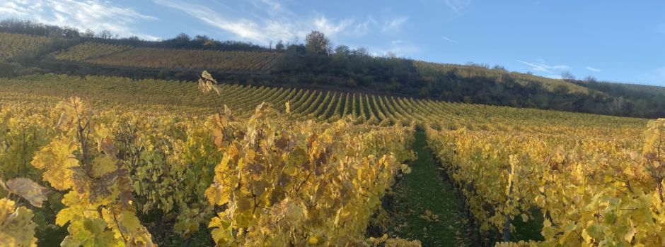 Tourismus in Rheinland-Pfalz.GOLD