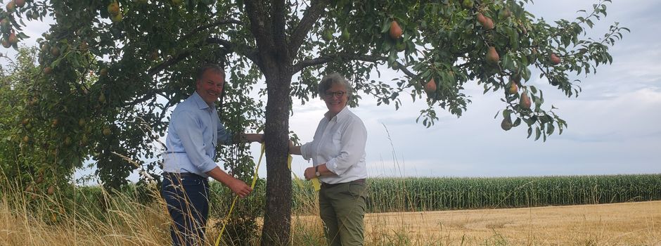 Gelbes Band: Obst pflücken in der Gemeinde Beverstedt