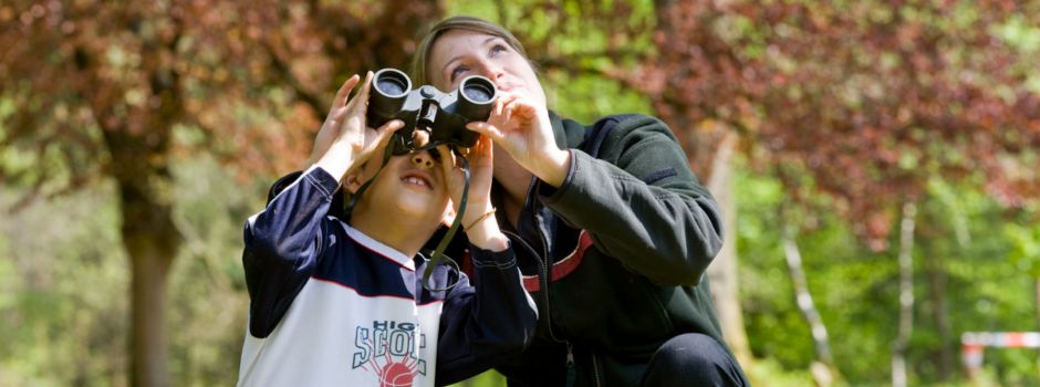 Entdeckungsreise in die Natur