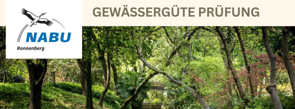 Gewässergüte-Prüfung mit dem NABU Ronnenberg