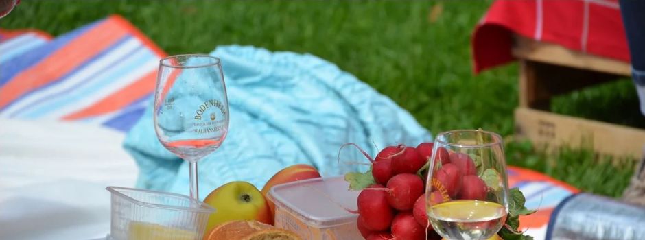 Das erwartet euch beim Bodenheimer Weinpicknick