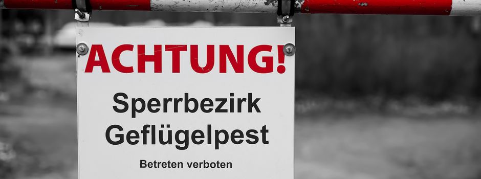 Geflügelpest im Heidekreis amtlich nachgewiesen