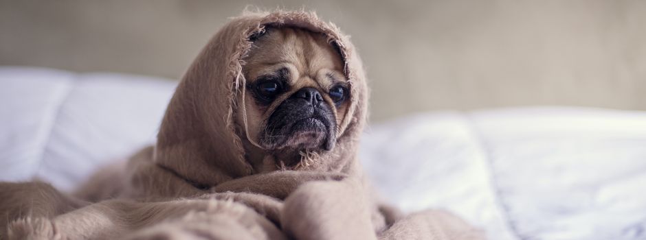 Wuhuuu, das Wochenende steht vor der Tür. Was ihr unternehmen könnt