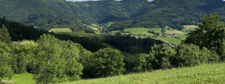 Rundwanderweg "Panoramaweg Katzenmoos" eröffnet