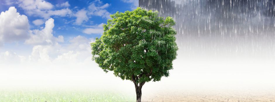 Expertenvortrag in Herzebrock-Clarholz zum Klimawandel am 15. September: Anschließend Preisverleihung Stadtradeln