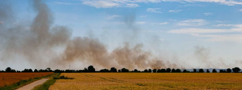 Flächenbrand zwischen Mainz-Kastel und Erbenheim – weitere Details bekannt