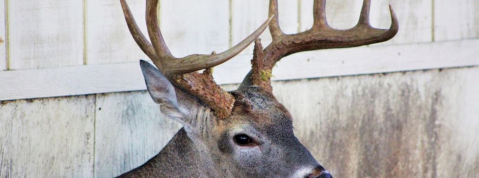 Mitgliederversammlung, 20.03.26