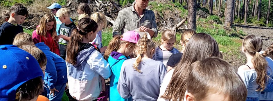 Wildäsungsfläche im Kahlaer Stadtwald geschaffen