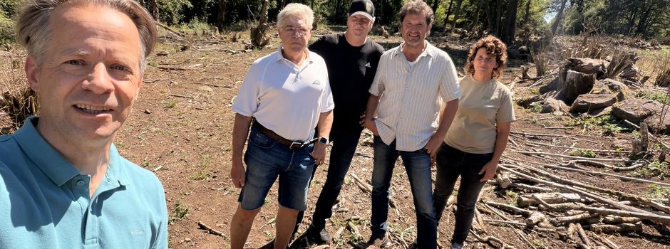 Steinebach lässt historische Waldweide aufleben: seltenes Naturschutzprojekt mit Vorbildcharakter