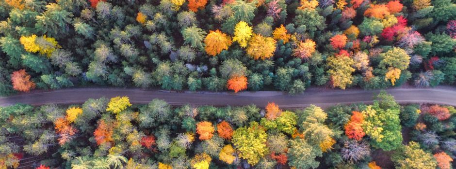 Herbstgefühle und komische Komplimente: Die Jodel der Woche