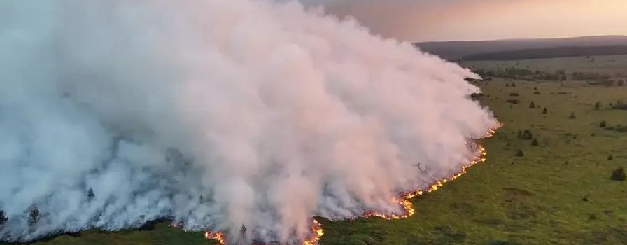 Starker Rauch- und Brandgeruch durch Waldbrand in Belgien