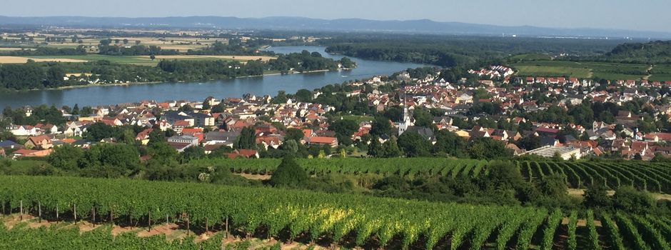 Ökologischer Weinbau – gab es das schon in der Bibel? Eine biblische Spurensuche in der Niersteiner „Glöck“