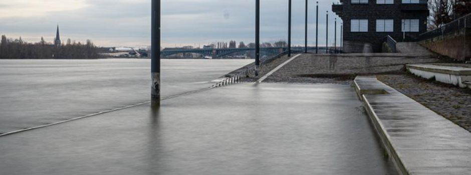 Steigender Rhein-Pegel in Mainz erwartet