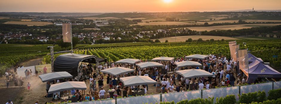 Das erwartet euch beim Panorama-Picknick in Nieder-Olm