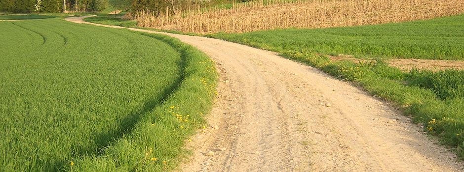 Fußgänger attackiert Autofahrerin in Stadecken-Elsheim