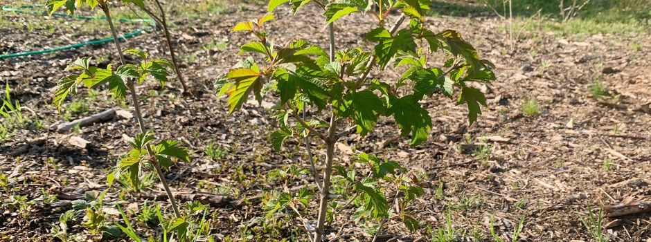 Wer hilft mit, das Klima zu retten?