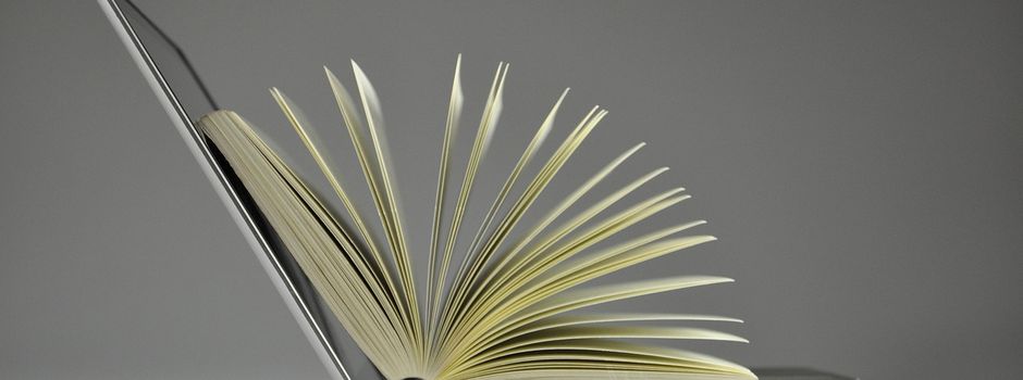 Bekanntmachung über die Auslegung des Rahmenbetriebsplanes im bergrechtlichen Planfeststellungsverfahren zum Vorhaben “ Kiessandtagebau Röderau-Bobersen, Planergänzung und Planänderung - RBP-Änderung 2023, (BNr. 8109)“
 