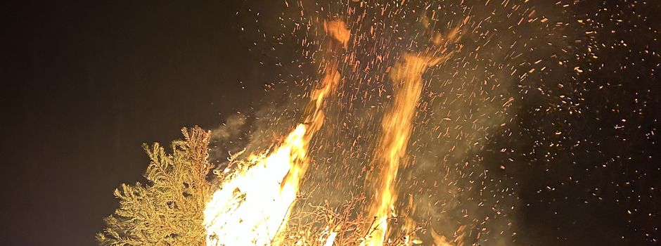 Tannenbaum verbrennen 