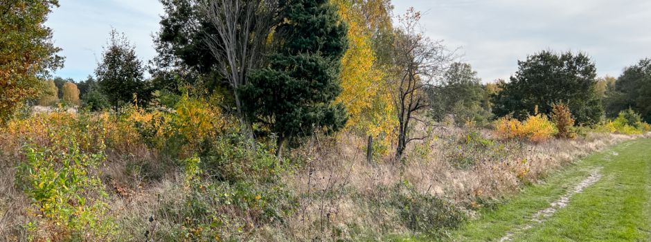 🛠️ Welle packt an beim 14. Naturpark-Tag!