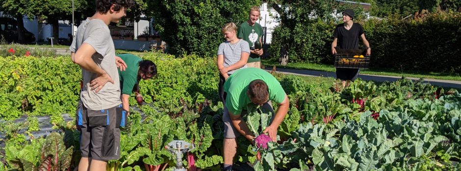 Ade Schnittblumen, Hallo Gemüse! Botanischer Garten hilft Augsburger Tafel durch die Corona-Zeit