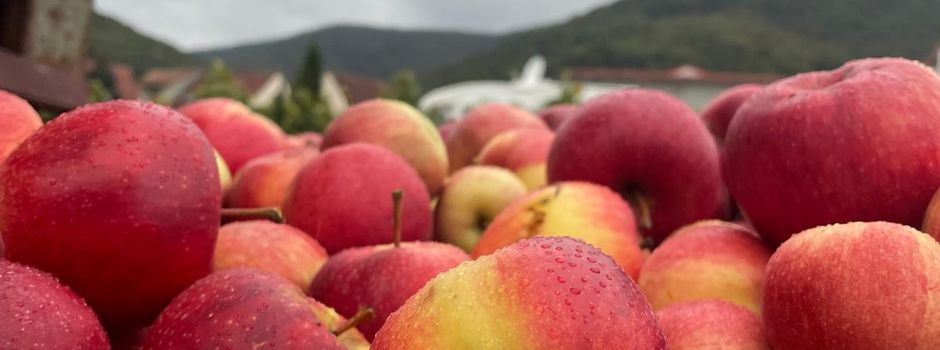 Frischer Apfelsaft für den Kindergarten