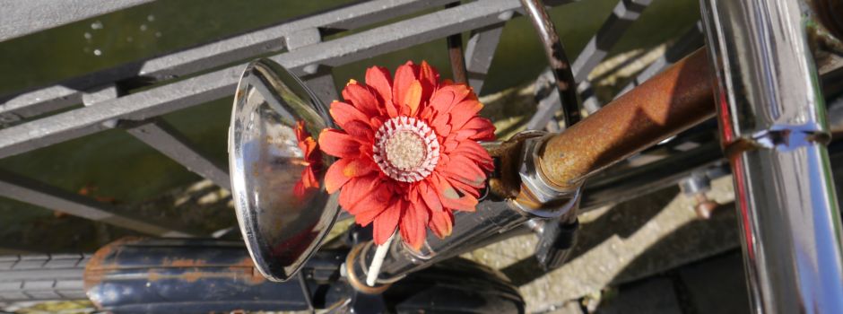 Hoch die Hände! Unsere Tipps für das Wochenende in Augsburg