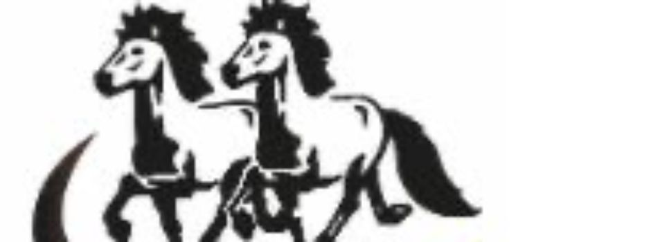 Deutsche Islandpferde Meisterschaften 2025