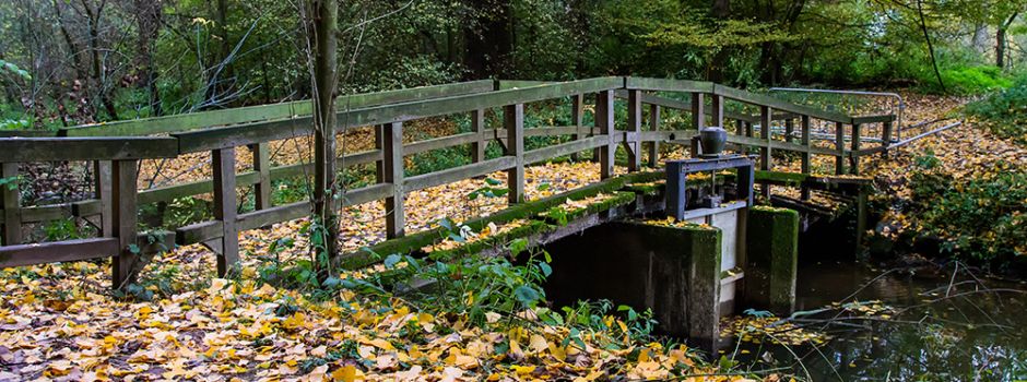 Brücke über Altarm der Sieg bald Geschichte?