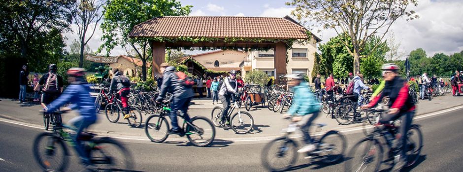 RheinRadeln zwischen Oppenheim und Worms findet wieder statt