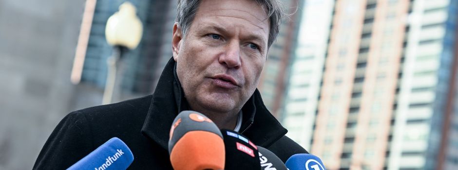 Habeck: Zeit vor Taurus-Abstimmung klug nutzen