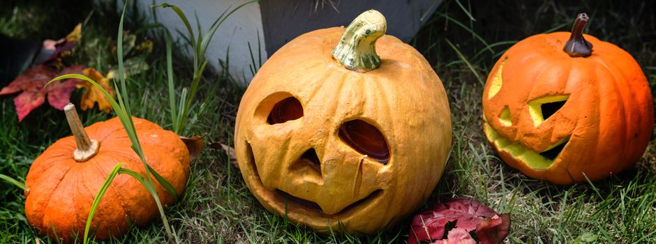 Regionale Kürbisse kaufen in Augsburg und Umgebung