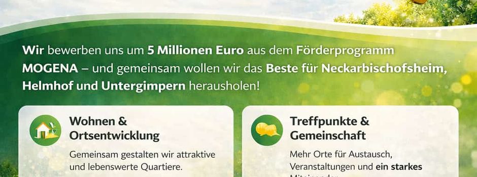 Heute im Gemeinderat: Es geht um Fördermillionen