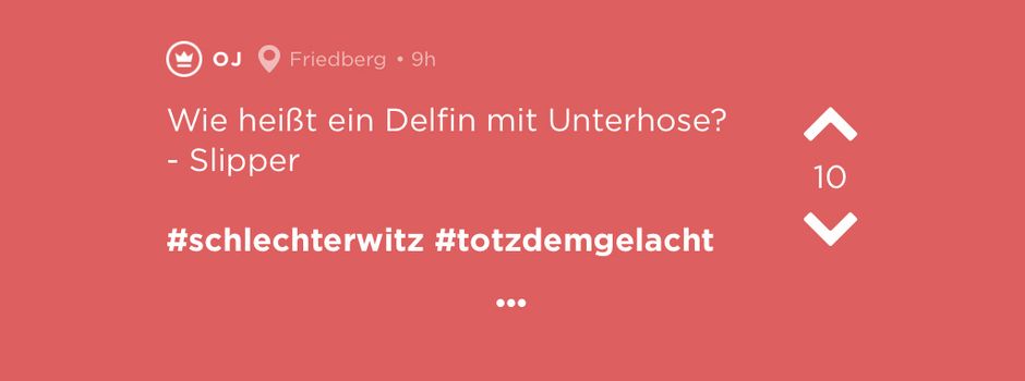 Slipper der kluge Delfin? - Die Jodel der Woche