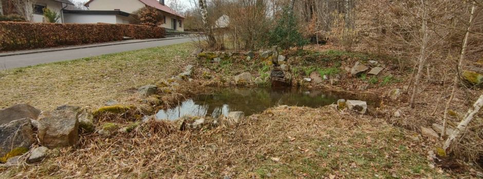 Verwilderter Teich wird verschönert