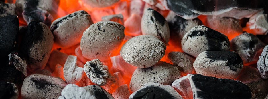Schnucken gucken und Leckeres vom Grill