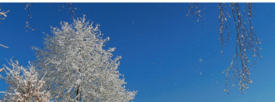 Die Winterausgabe 2025 ist da!