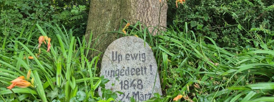 🌳 Ein Baum erzählt Geschichte – Die Doppeleiche in Brekling