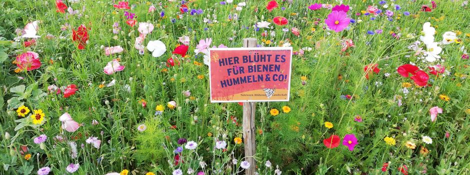 „ Blühende Landschaften“