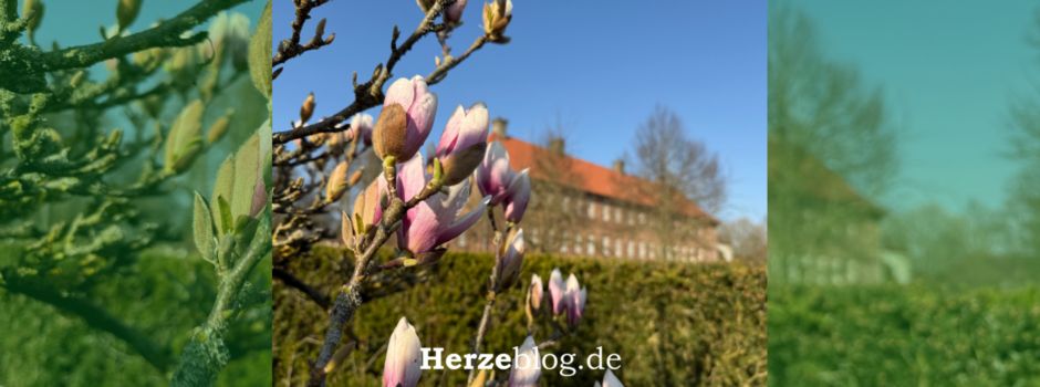 Gartenanlage Kloster Clarholz: Sehenwerte Kombination aus Kunst und Natur