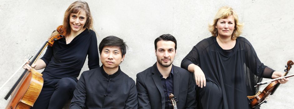 Noah Quartett in der Waldmühle