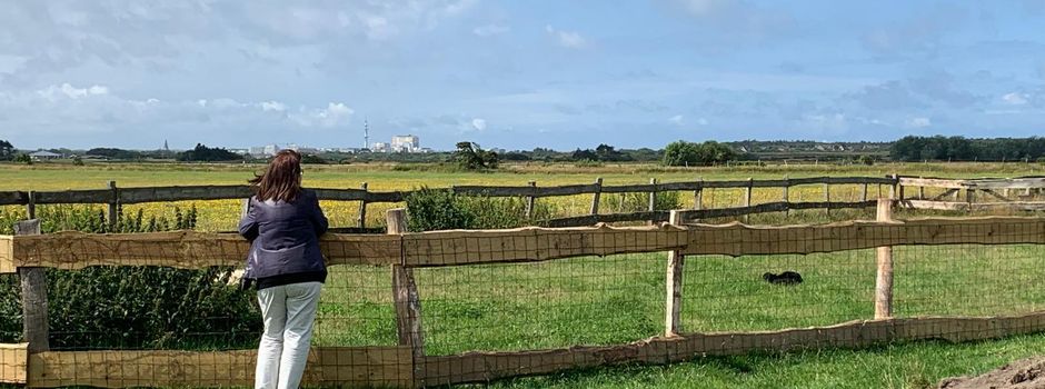 Staffelstabübergabe im Bauernhofkindergarten Wenningstedt