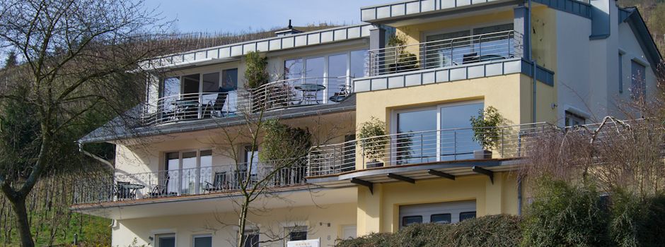 Ferienhaus Panorama Mosel