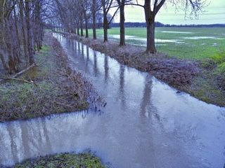 Leserbrief: „Aufklärung (-s Kolumne) tut Not“