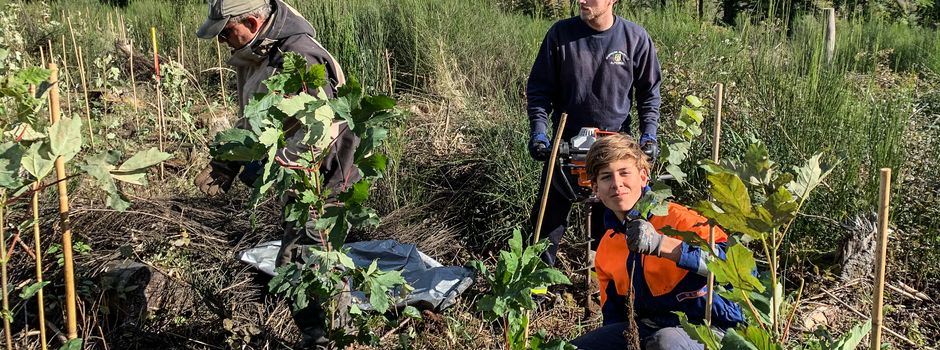 Jetzt mitmachen – Bürger-Pflanzaktion am 15. November